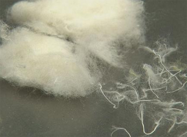 1620908328320688.jpg 4.jpg